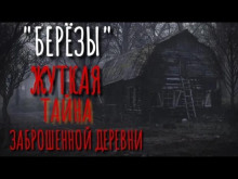 Берёзы - Автор неизвестен