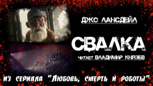 Свалка - Джо Р. Лансдейл