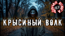 Крысиный волк - Rez0nman