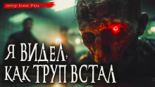 Общество чистых тарелок - Иван Миронов
